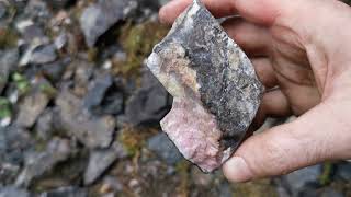 Rhodonite  Cowichan Lake Vancouver Island BC  Rockhounding [upl. by Becca]