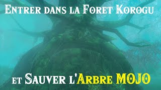 ZELDA TotK  Soluce Sauver lArbre Mojo dans la Forêt Korogu [upl. by Johm]