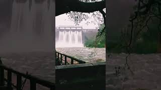 Peechi Dam  4 Shutters Opened and Heavy water fall [upl. by Gnuj320]