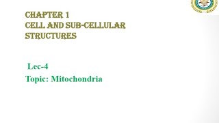 Mitochondria  Powerhouse of the Cell  Self Replicating Organelle  Federal Biology [upl. by Rosol]