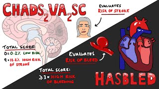 CHADSVASC vs HASBLED  Total Scores amp Interpretation What do they mean [upl. by Aleiram]