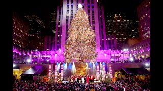 Rockefeller Center Christmas Tree 2024 in New York City [upl. by Attehcram]