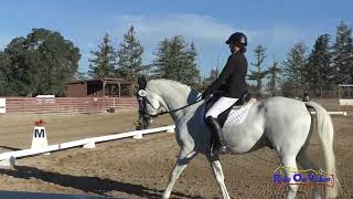 240D Layla Meyers on Psurprise JR Beginner Novice Dressage Woodside October 2024 [upl. by Annairdna]