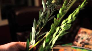 Lulav Instructional Video from Oorah for Sukkot [upl. by Annaoy]