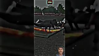 Army Training status army training status motivation trending ips police youtube reels [upl. by Concoff]