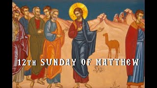 Sermon 12th Sunday Matthew 2022 [upl. by Ynnod725]