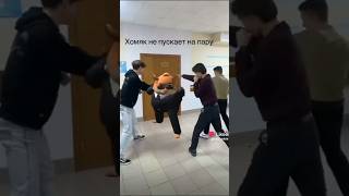 Мемы видео часть 13 undertale хочувтренды sans хочувтоп хочуврек pvz тиктоктренды хочувреки [upl. by Yliah]