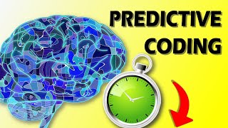 Predictive Coding Why Our Brain Is Constantly Predicting The Future [upl. by Aisanahta]