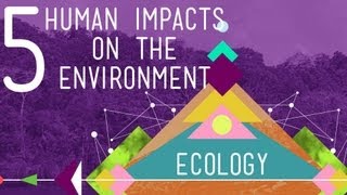 5 Human Impacts on the Environment Crash Course Ecology 10 [upl. by Arada]