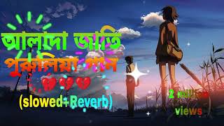 আলাদা জাতি  ALADA JATI SlowedReverb  Lofi Rimex  Purulia Song  New Sad Song 2025 [upl. by Meelak793]