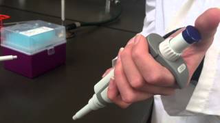 How to Practice Proper Pipetting Technique [upl. by Yenmor]