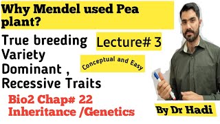 L3 Why Mendel used pea plant True breeding variety Dominant and recessive trait [upl. by Louls]