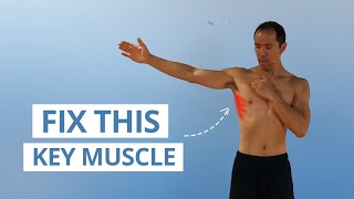 5 Unique Serratus Anterior Exercises for Strong amp Stable Shoulders [upl. by Fezoj871]