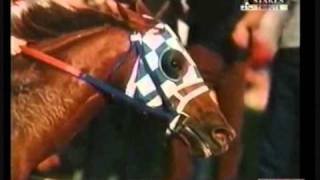 Secretariat Tribute [upl. by Teryl]