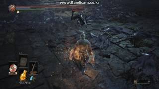 Dark Souls 3 Hawkwood Fight [upl. by Nomzed]