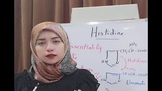 Protein Metabolism Session 14 Histidine Amino Acid Metabolism [upl. by Sajovich]