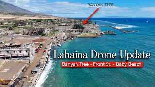 Lahaina DRONE Update  September 2024  Banyan Tree Front St Baby Beach Area [upl. by Isolda156]