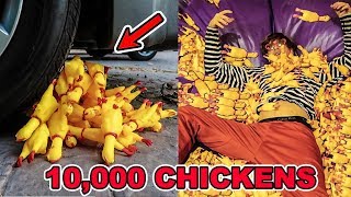 10000 RUBBER CHICKENS EXPERIMENTS [upl. by Yerahcaz]