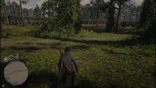 RDO Spoonbill egg Stuck On the tree [upl. by Trelu821]