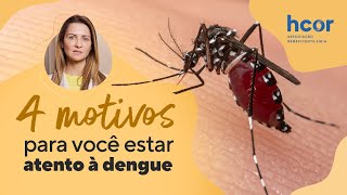 Dengue tipos vacina e repelentes [upl. by Ellesij628]