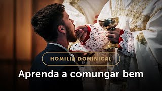 Homilia Dominical  Três princípios para comungar bem 19º Domingo do Tempo Comum [upl. by Nnaesor607]