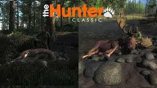 Whitetail and Moose Hunt theHunter Classic [upl. by Itnaihc]