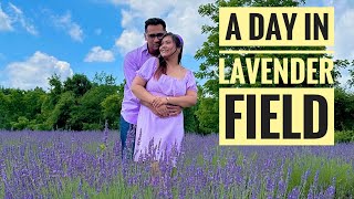 A Day In Lavender Festival  1st time in a Lavender Field  New Vlog [upl. by Rettke]