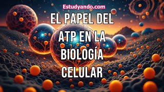 El papel del ATP en la Biología Celular [upl. by Anerb]