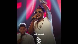 ලොවම නැවතිලා නිහඩයි වගේ  💆‍♂️🌿❤️ shortsyoutube music livemusicvenue trendingshorts music [upl. by Ahseekat]