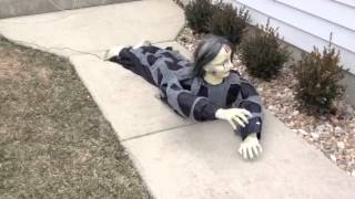 Crawling Dead Zombie Animated Halloween Prop [upl. by Ecaidnac]