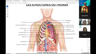 Français Soins Infirmiers 2 [upl. by Egon]