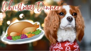 Herky Eats Christmas dinner  COOKING FOR YOUR DOG EASY RECIPE [upl. by Allemap616]