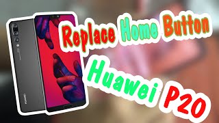 How to replace the home button of Huawei P20 [upl. by Adelind247]