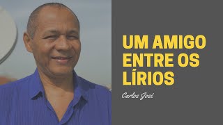 UM AMIGO ENTRE OS LÍRIOS  344  HARPA CRISTÃ  Carlos José [upl. by Araed345]