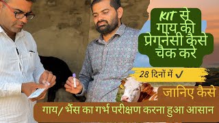 Bovine pregnancy test kit गाय का गर्भ कैसे चैक करें। [upl. by Eissej703]