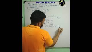 Mollusca Phylum  Echinodermata Phylum  Part13  Five Kingdom Classification  btosacademy [upl. by Haas]