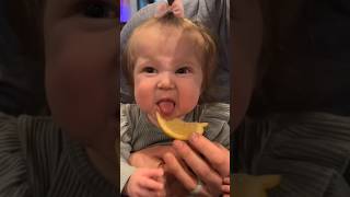 Babies trying lemon for the first time 🤣  Hilarious Reactions 😅 funny baby [upl. by Leupold]