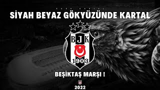 Siyah Beyaz Gökyüzünde Kartal  Beşiktaş Marşı [upl. by Ancelin]