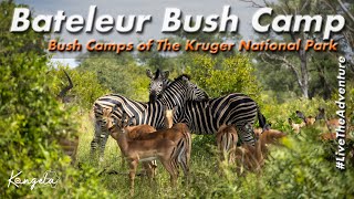 Bateleur Bush Camp Review  Kruger National Park [upl. by Ellerahs]