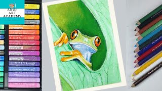 Drawing a Tree Frog with Oil PastelHow to Draw a Frog RedEyed Tree Frog [upl. by Ros]