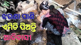 ଝରଣା ପାଣି ଆଦିବାସୀ ଏମିତି ପିଇଥାନ୍ତି। Tribe People Vlog [upl. by Niwroc523]