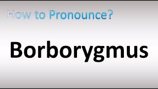 How to Pronounce Borborygmus [upl. by Mirella374]