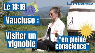 Vaucluse  visiter un vignoble quoten pleine consciencequot [upl. by Syah660]