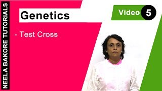 Genetics  Principles of Inheritance amp Variations  NEET  Test Cross  Neela Bakore Tutorials [upl. by Hunley]