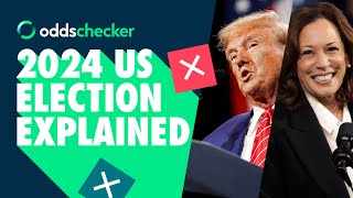 2024 US Election Explained [upl. by Delia226]