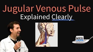 Jugular Venous Pulse JVP Explained Clearly  Evaluation Waveforms Interpretation [upl. by Hanson]