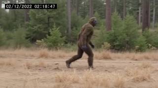 30 Creepiest Wildlife and Cryptid Encounters Caught on Camera Part 2 [upl. by Olathe682]