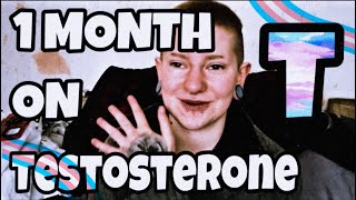 Iva 1 Month on Testosterone [upl. by Volding]