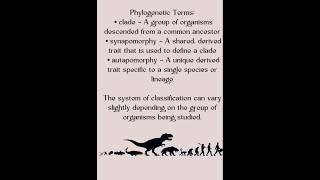 TAXONOMY amp CLASSIFICATION OF BIOLOGY ABBREVIATIONS facts generalknowledge education shorts [upl. by Eimmelc]