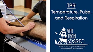 TPR  Temperature Pulse and Respiration [upl. by Hyrup]